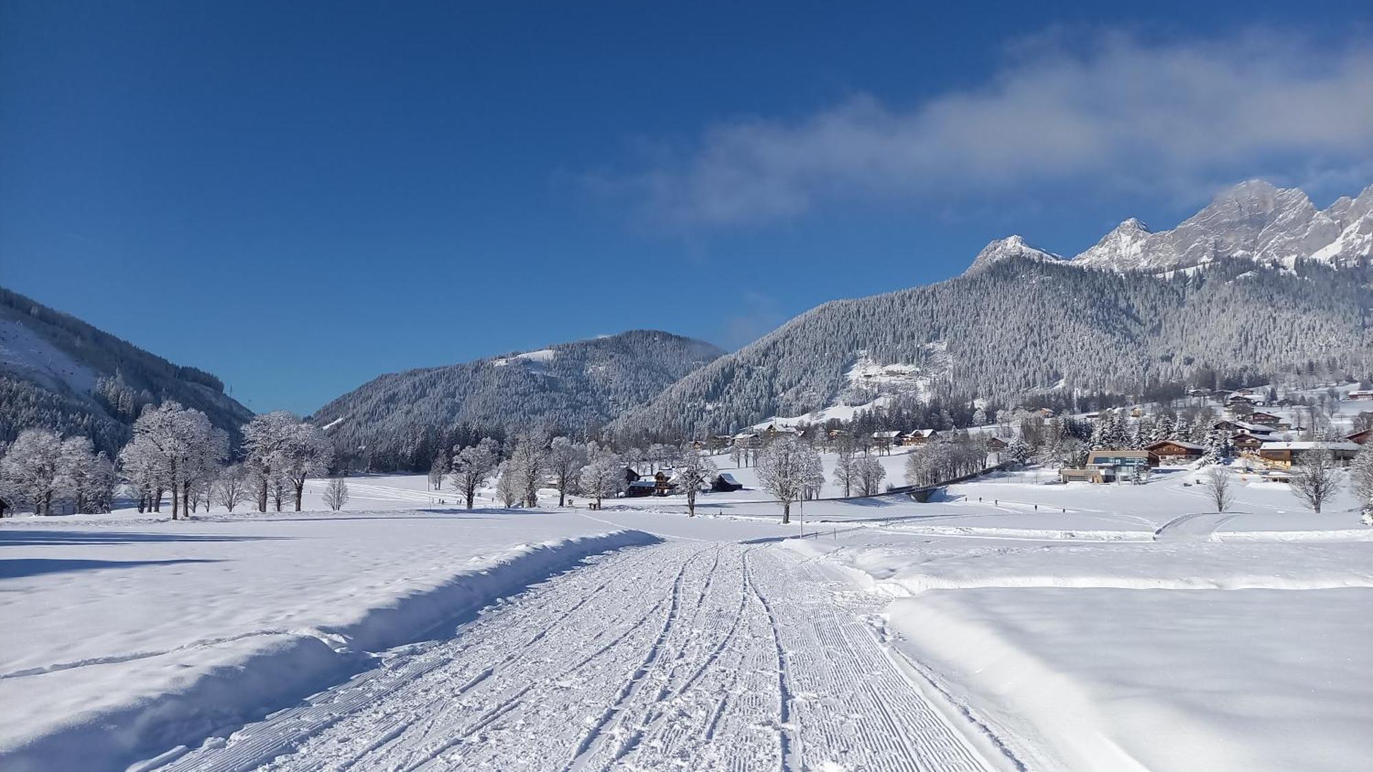Pension Felsenheim Ramsau am Dachstein Esterno foto